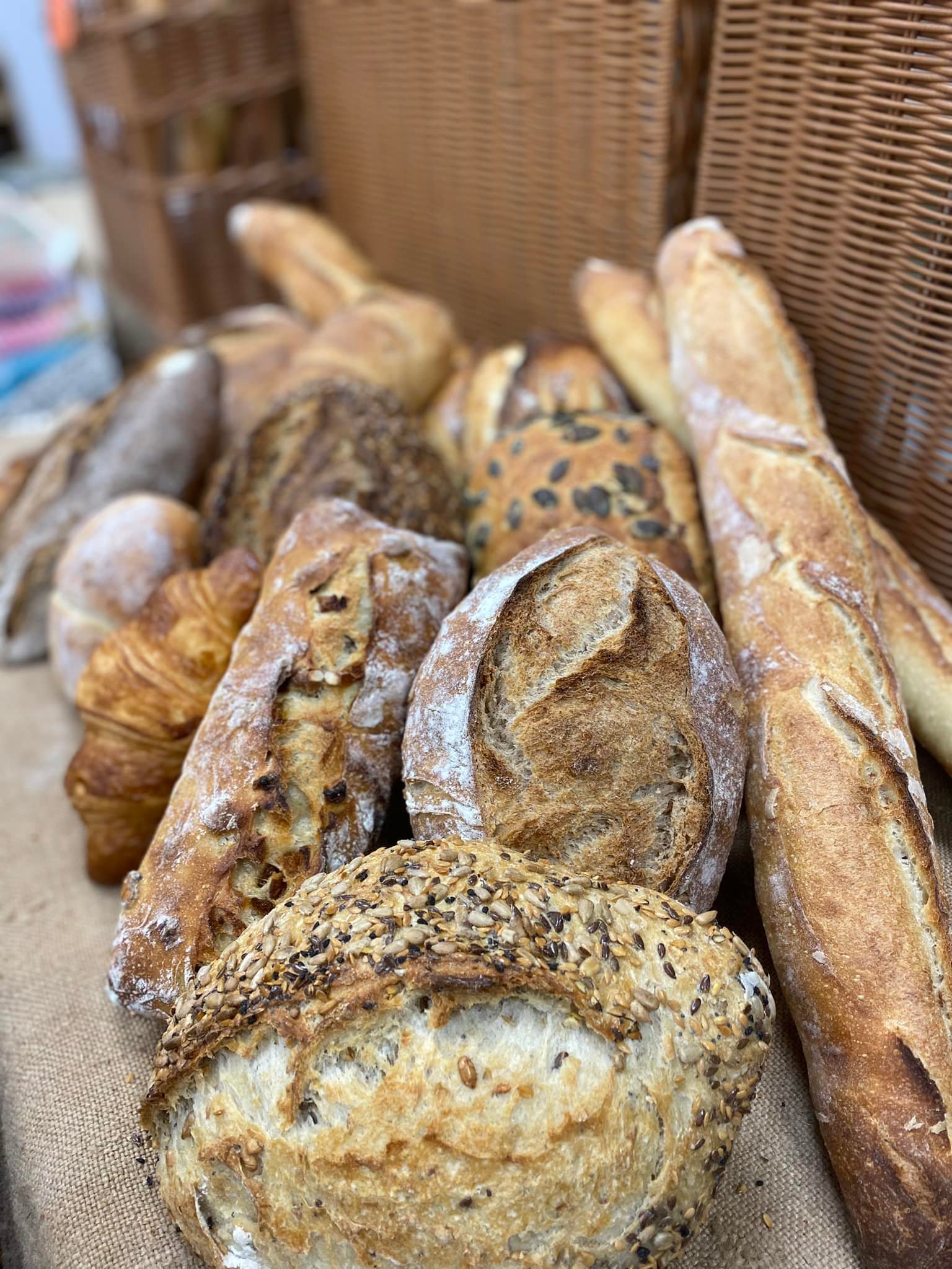 491956645_1256507649412342_5351580159238231541_n