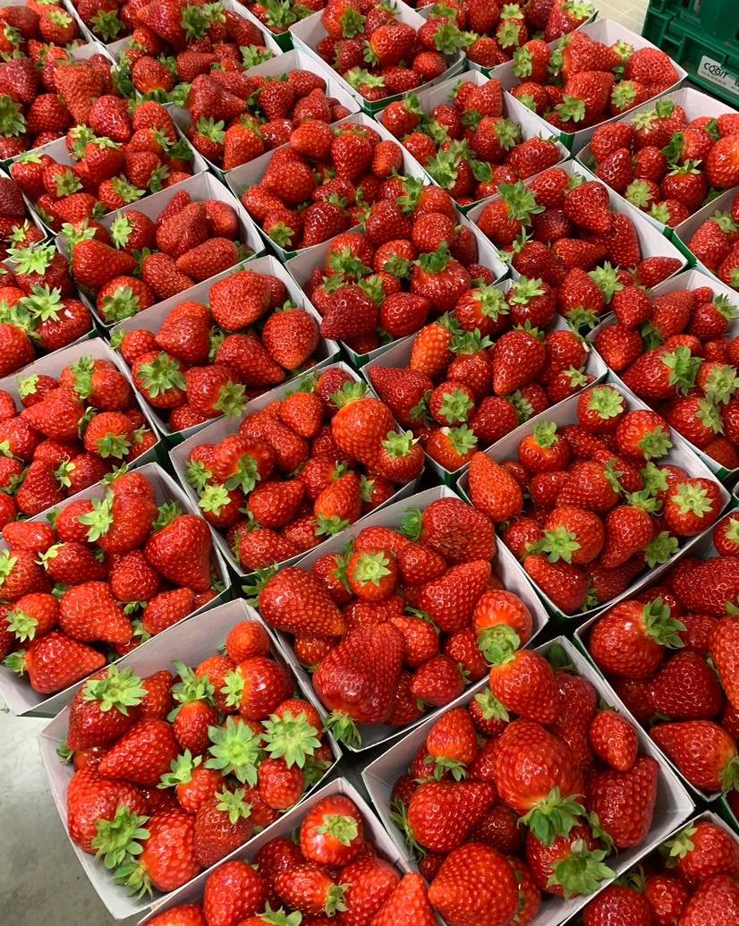 494447535_1262109318852175_7659974402661247287_n