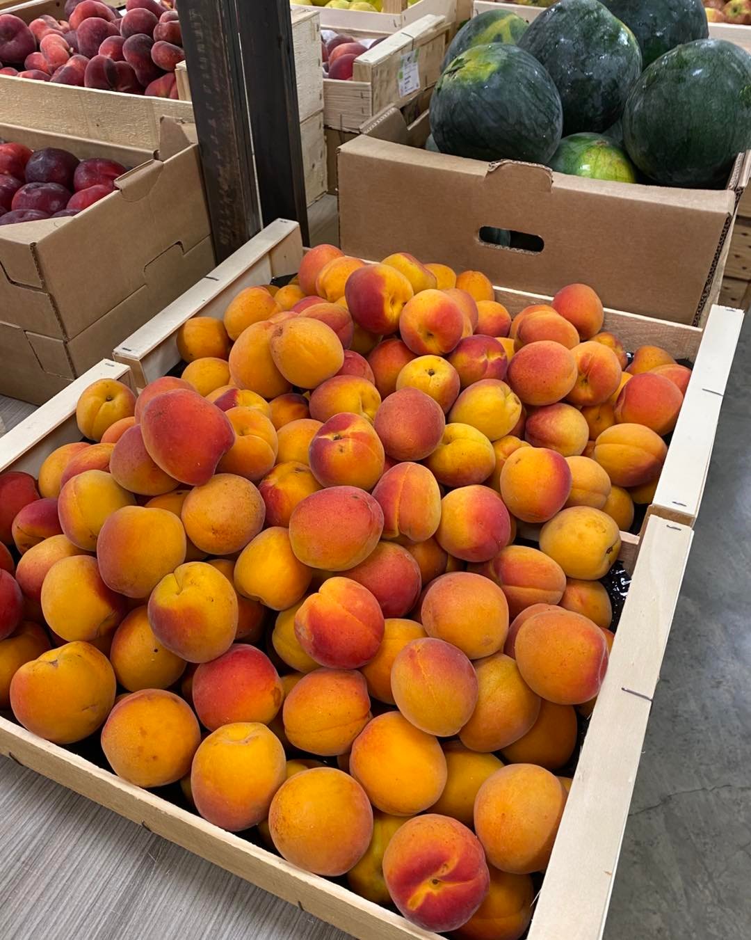 514437709_1314124073650699_8015379726161262432_n