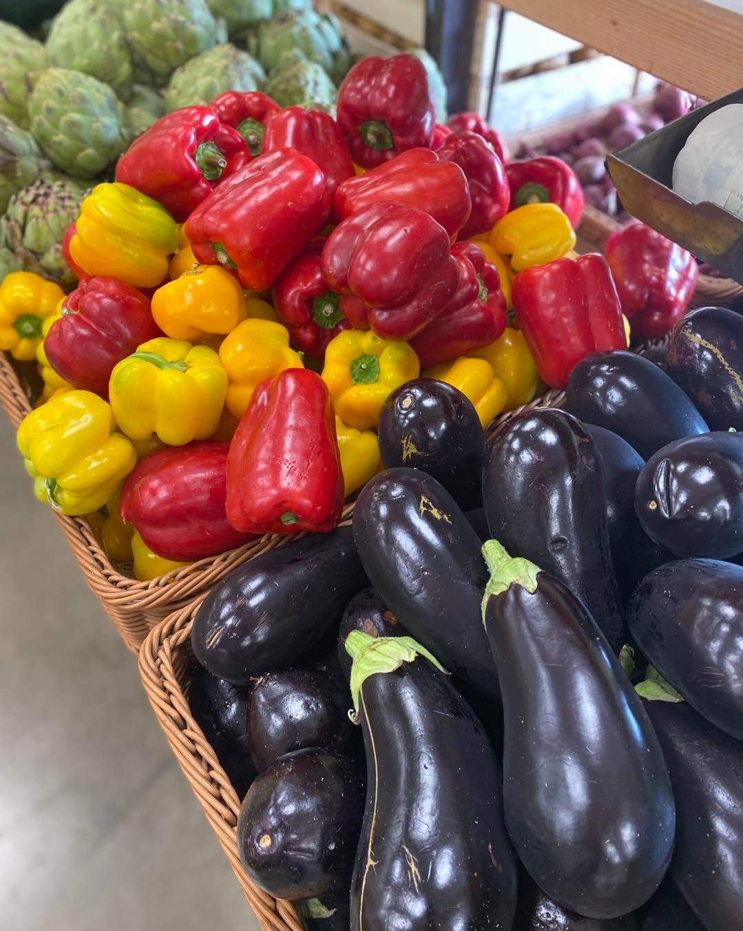 514865814_1314124070317366_1013192941876952217_n