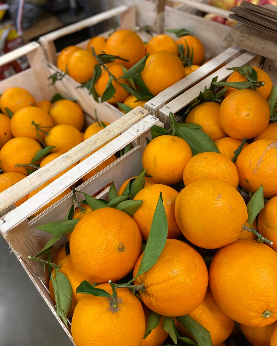 645129205_1525532379176533_8145657097400540764_n